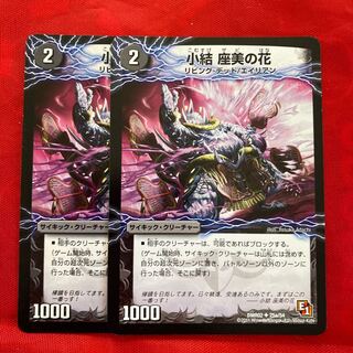 小結 座美の花｜雲龍 ディス・イズ・大横綱(下)