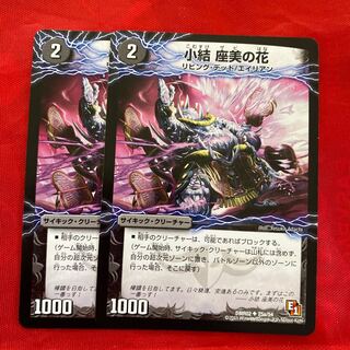 小結 座美の花｜雲龍 ディス・イズ・大横綱(下)