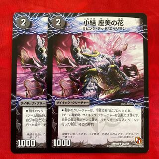 小結 座美の花｜雲龍 ディス・イズ・大横綱(下)