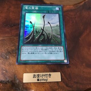 竜の霊廟 スーパーレア