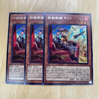 鉄獣戦線 キット レア