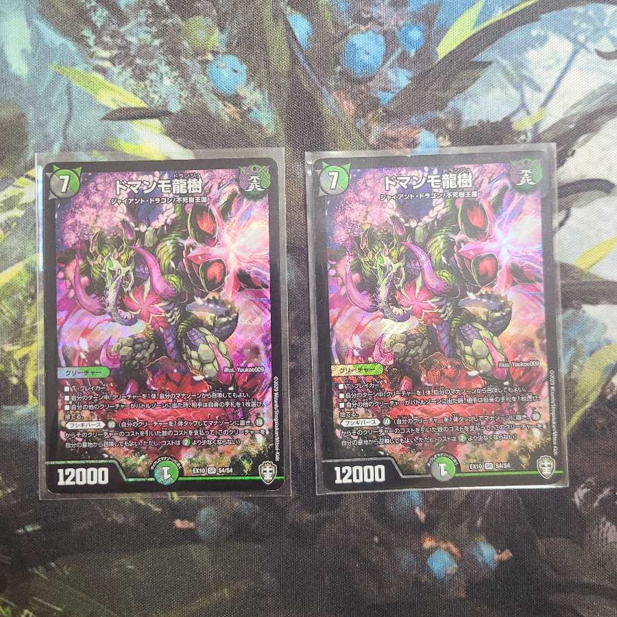 ドマンモ龍樹 二枚