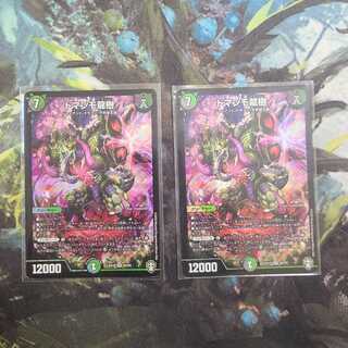 ドマンモ龍樹　二枚