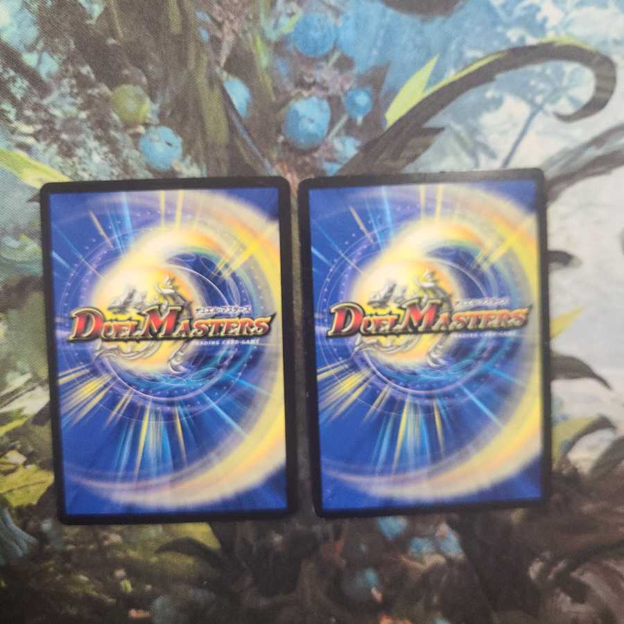 ドマンモ龍樹 二枚