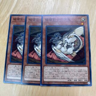 Buster Whelp of the Destruction Swordsman Normal