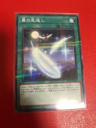 翼の恩返し パラレル ノーマル