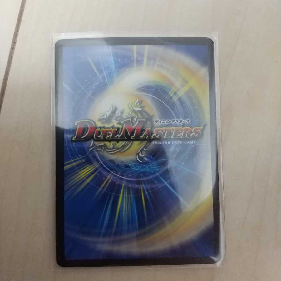 ポクチンちん(20thレア仕様)Bver.