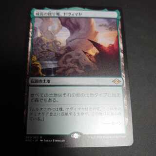 成長の揺り篭、ヤヴィマヤ