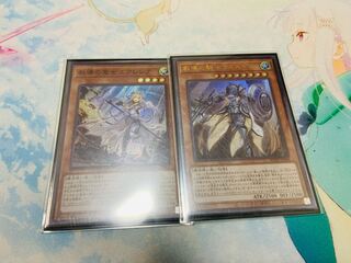 教導の聖女エクレシア・騎士フルルドリス　スーパーレアセット