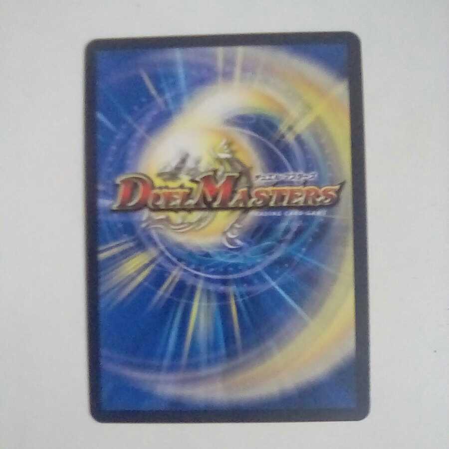 専用 雷龍 ヴァリヴァリウス