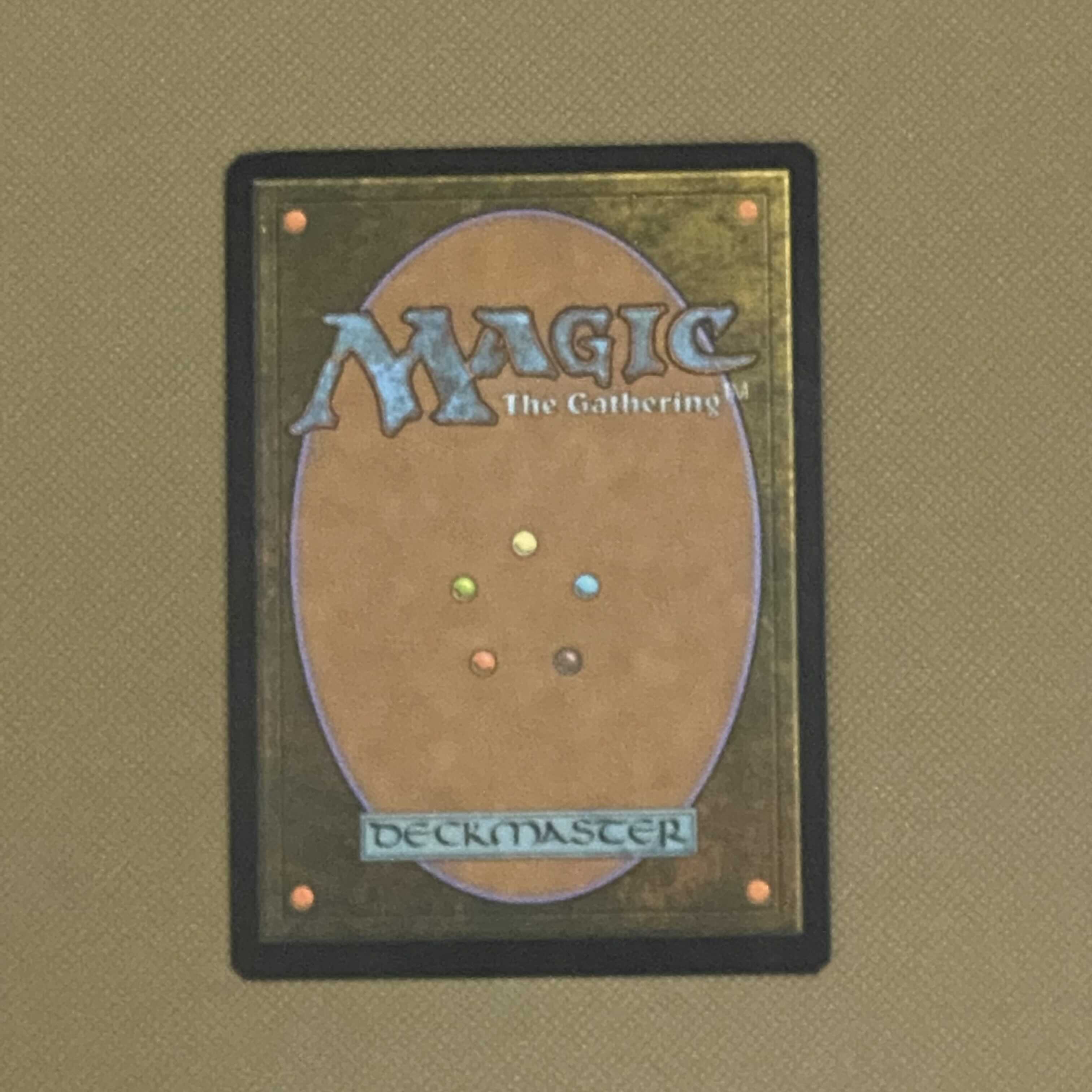 【日本語 拡張Foil】《霧深い雨林》MTG