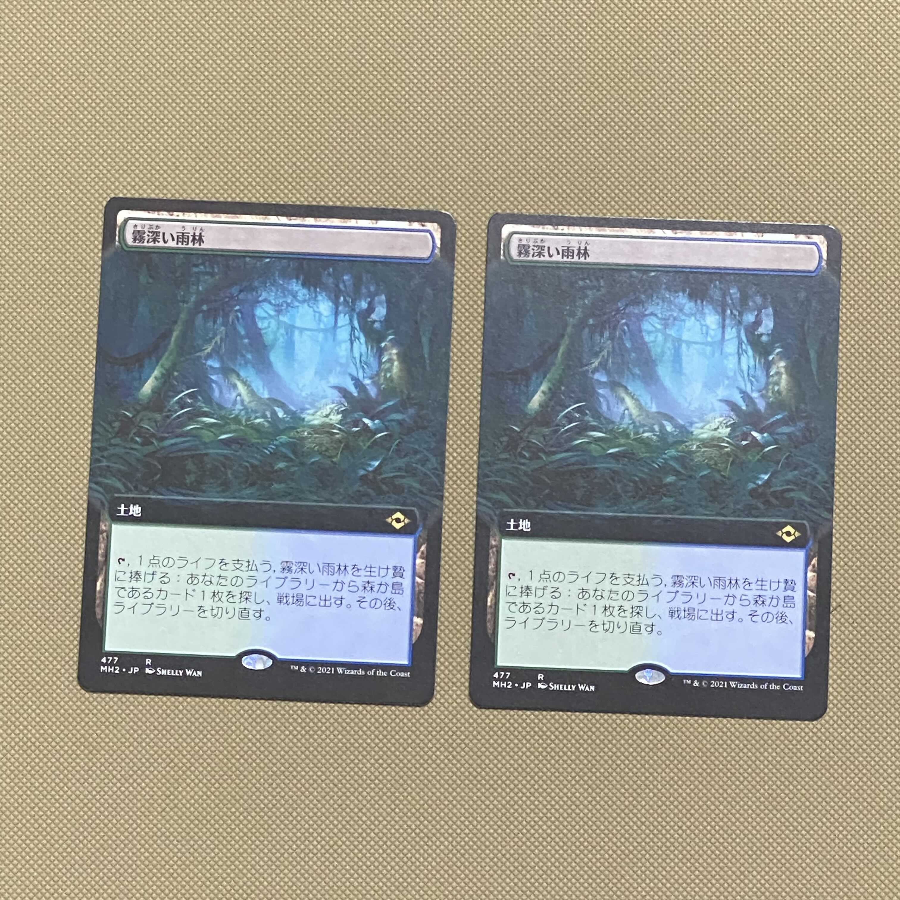 【日本語 拡張】4枚セット《霧深い雨林》