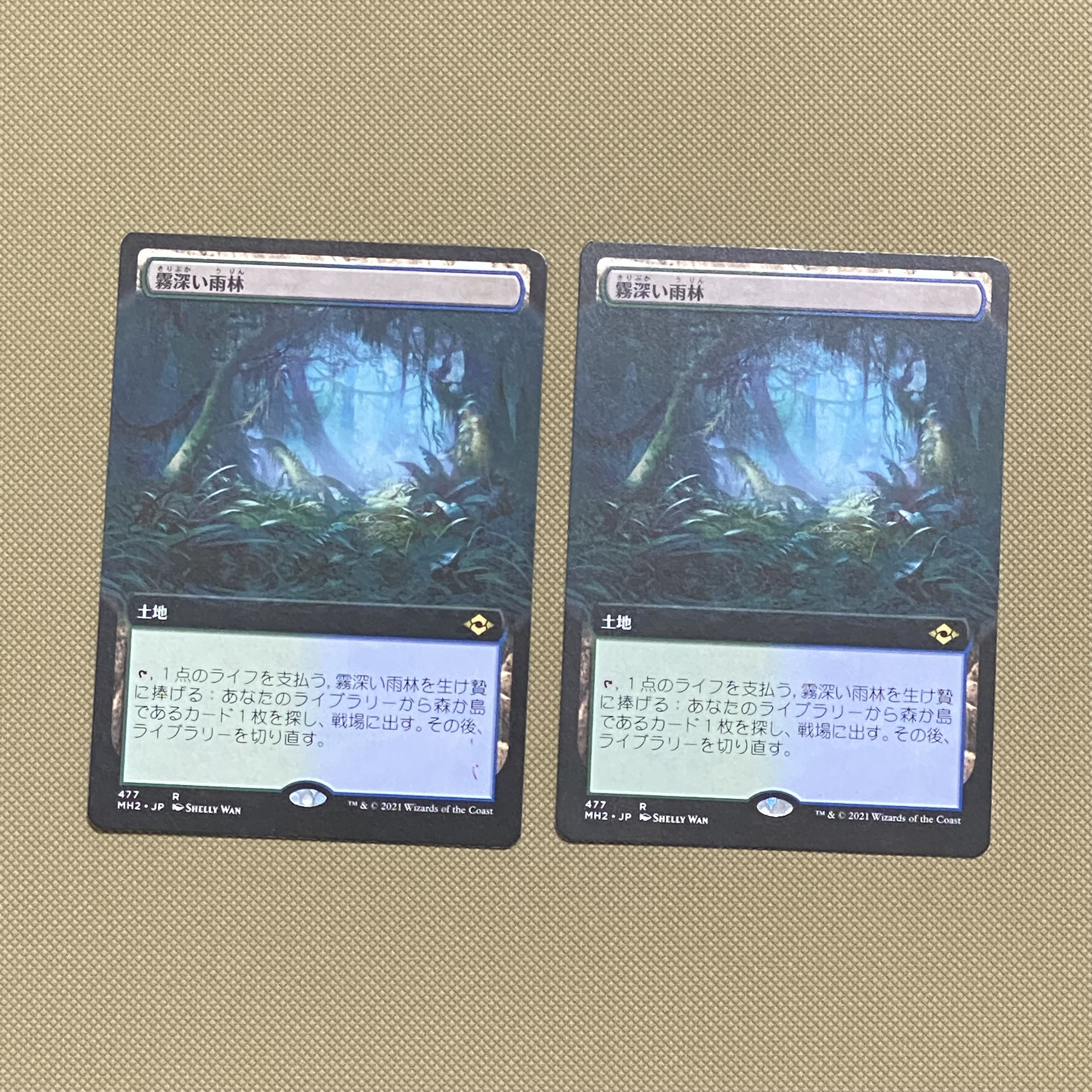 【日本語 拡張】4枚セット《霧深い雨林》