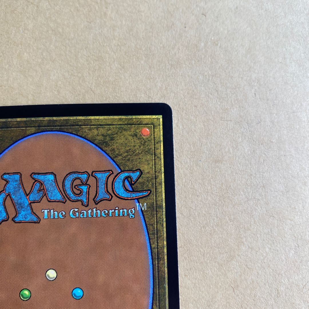 霧深い雨林 旧枠 foil セトブ産