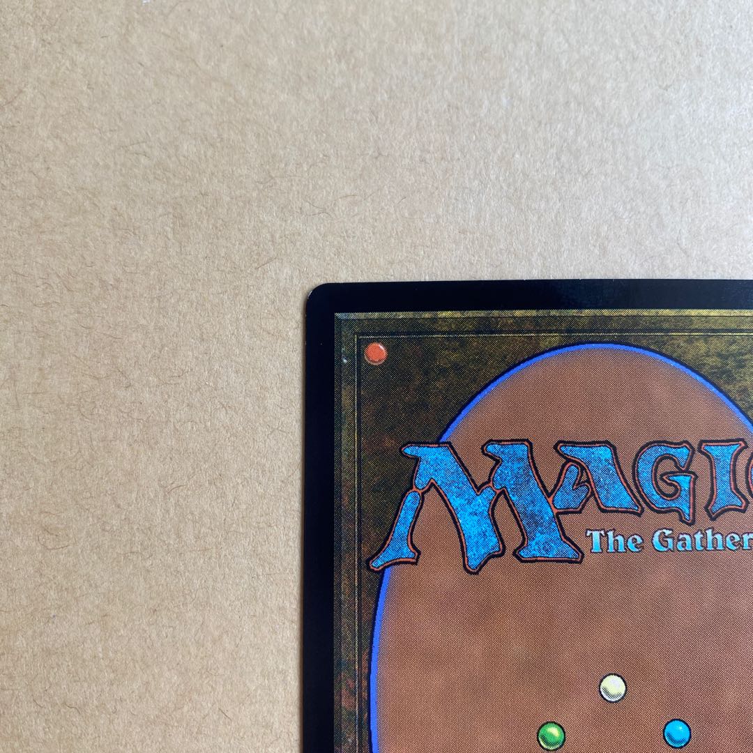 霧深い雨林 旧枠 foil セトブ産