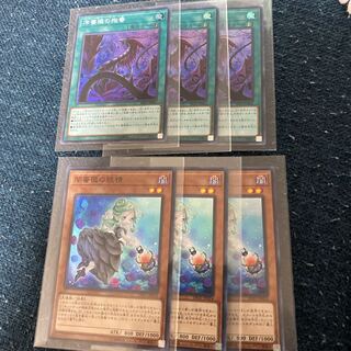 Frozen Rose Dark Rose Fairy