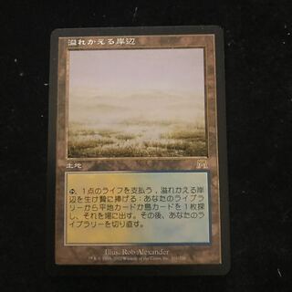 溢れかえる岸辺　日1枚