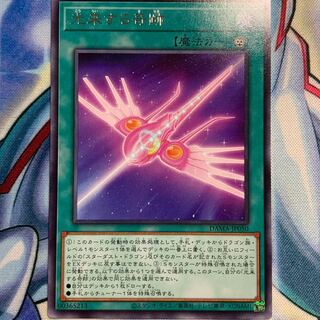 【R】光来する奇跡 1枚 DAMA-JP050