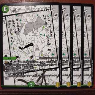 Bst386　コクーン・シャナバガン