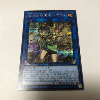 崔嵬の地霊使いアウス シークレットレア