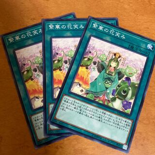 繁華の花笑み ノーマルレア