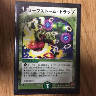 Leaf Storm Trap R 40/110