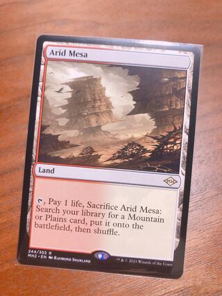 乾燥台地/Arid Mesa【英語版】1枚　モダンホライゾン2
