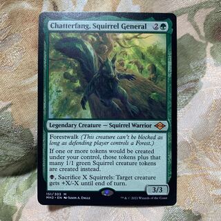 リスの将軍、サワギバ」の激安通販 | magi