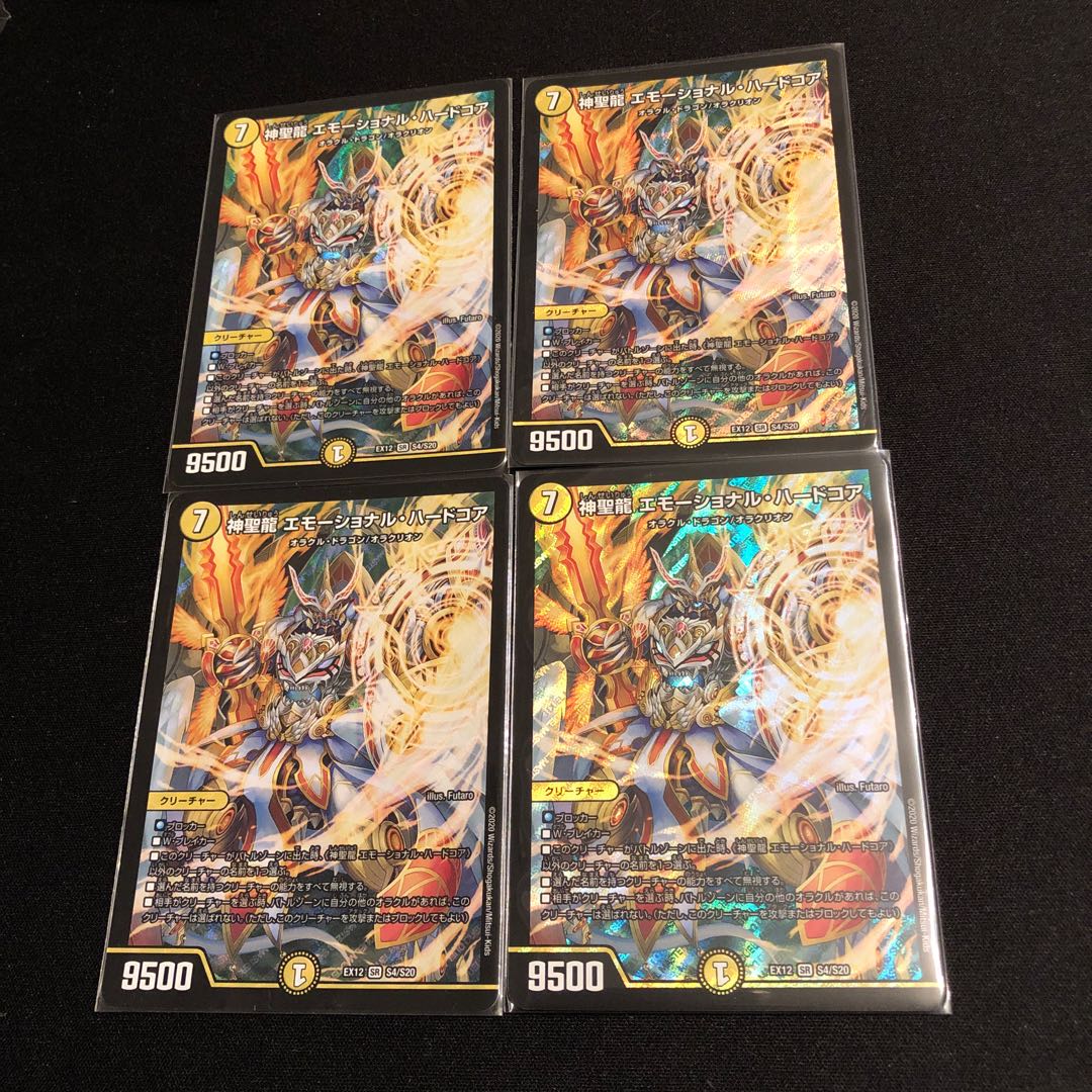 神聖龍 エモーショナル・ハードコア