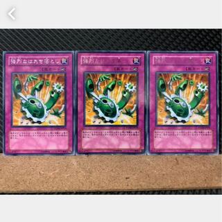 【ぽぽたん】遊戯王 2963 強烈なはたき落とし 3枚 レア