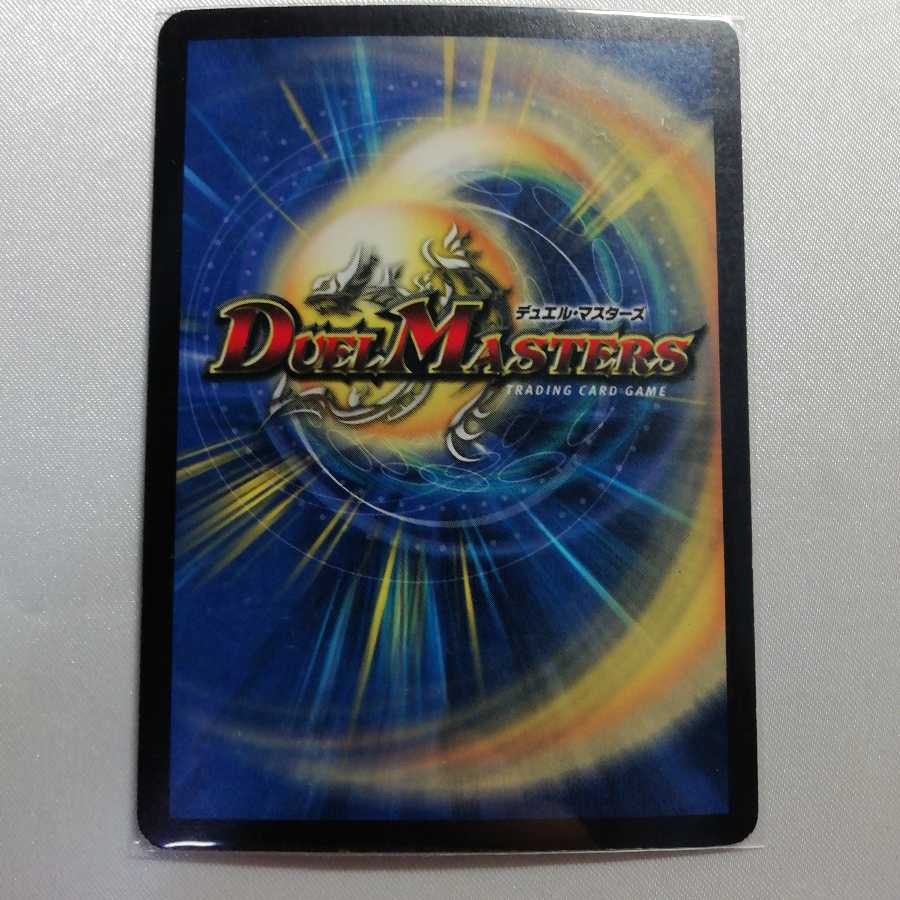 クリスタル・パラディン SR プレイ用