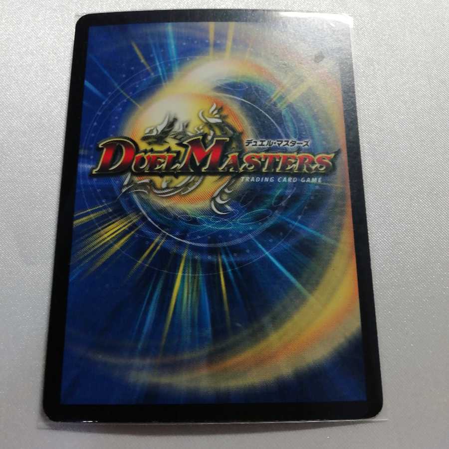 クリスタル・パラディン SR プレイ用