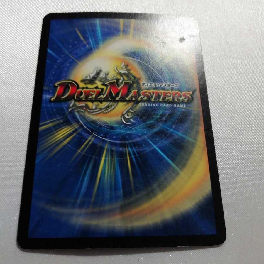 クリスタル・パラディン SR プレイ用