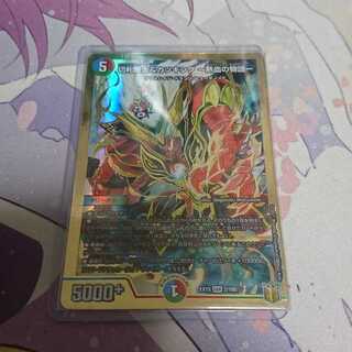 切札勝太&カツキング -熱血の物語- DSR