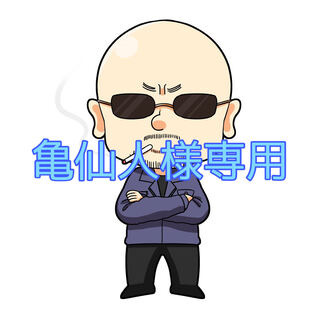 武天老師さま専用 ドラゴンボール 一番くじ STRONG CHAINS!! MASTERLISE 武天老師