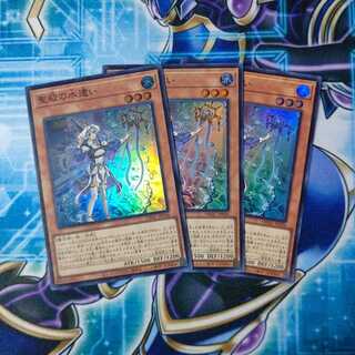 聖殿の水遣い スーパーレア ３枚セット