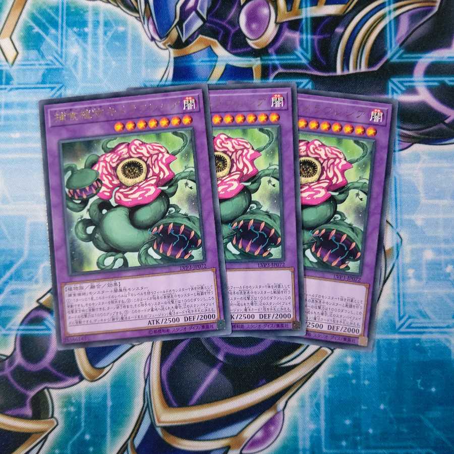 捕食植物キメラフレシア レア ３枚セット