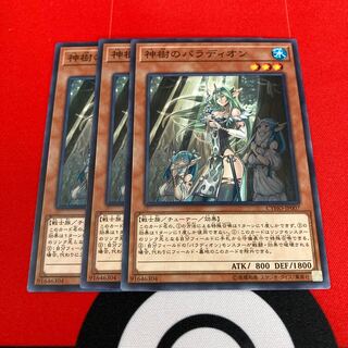 遊戯王　神樹のパラディオン ノーマル　3枚セット　特価品