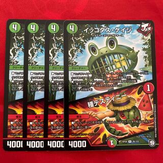 イッコダス・ケイジ｜種デスティニー