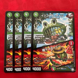 イッコダス・ケイジ｜種デスティニー