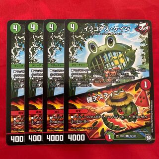 イッコダス・ケイジ｜種デスティニー