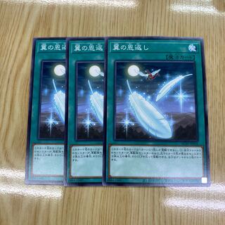 翼の恩返し ノーマル