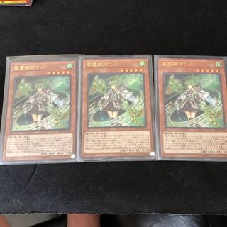 風霊媒師ウィン