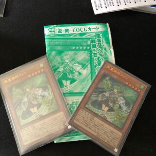 風霊媒師ウィン