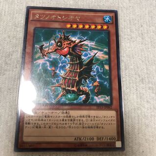 タツノオトシオヤ