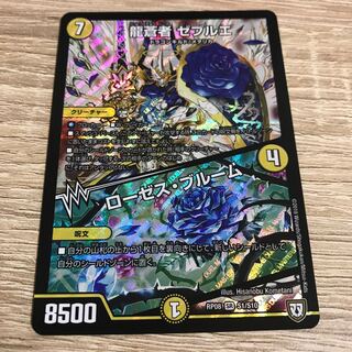 Roses Snubbullum SR