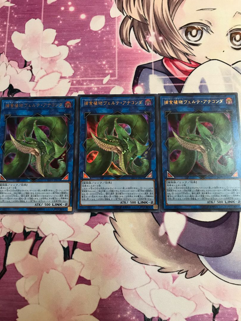 捕食植物ヴェルテ・アナコンダ ウルトラレア