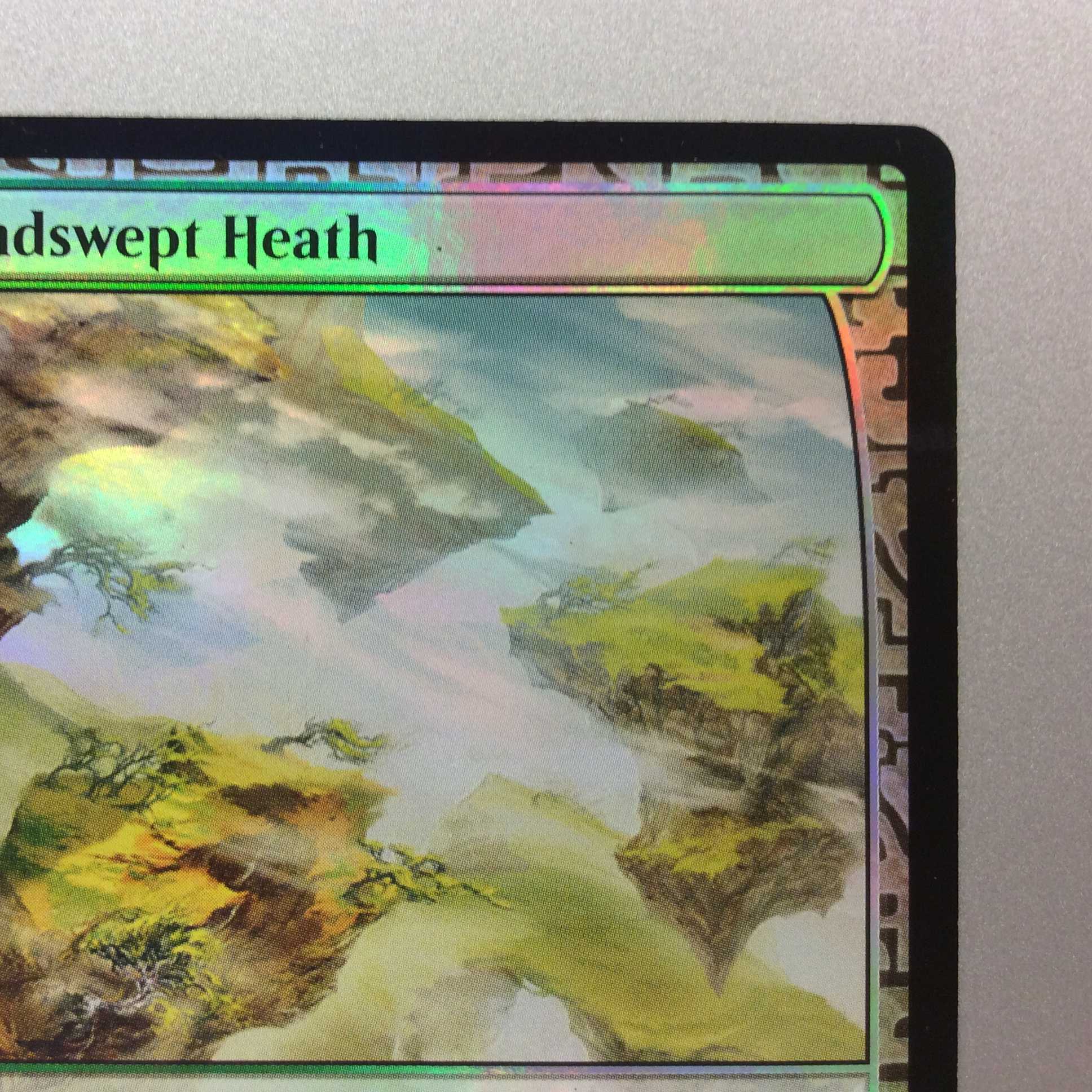 (Slight flaw)Windswept Heath/Windswept Heath Foil