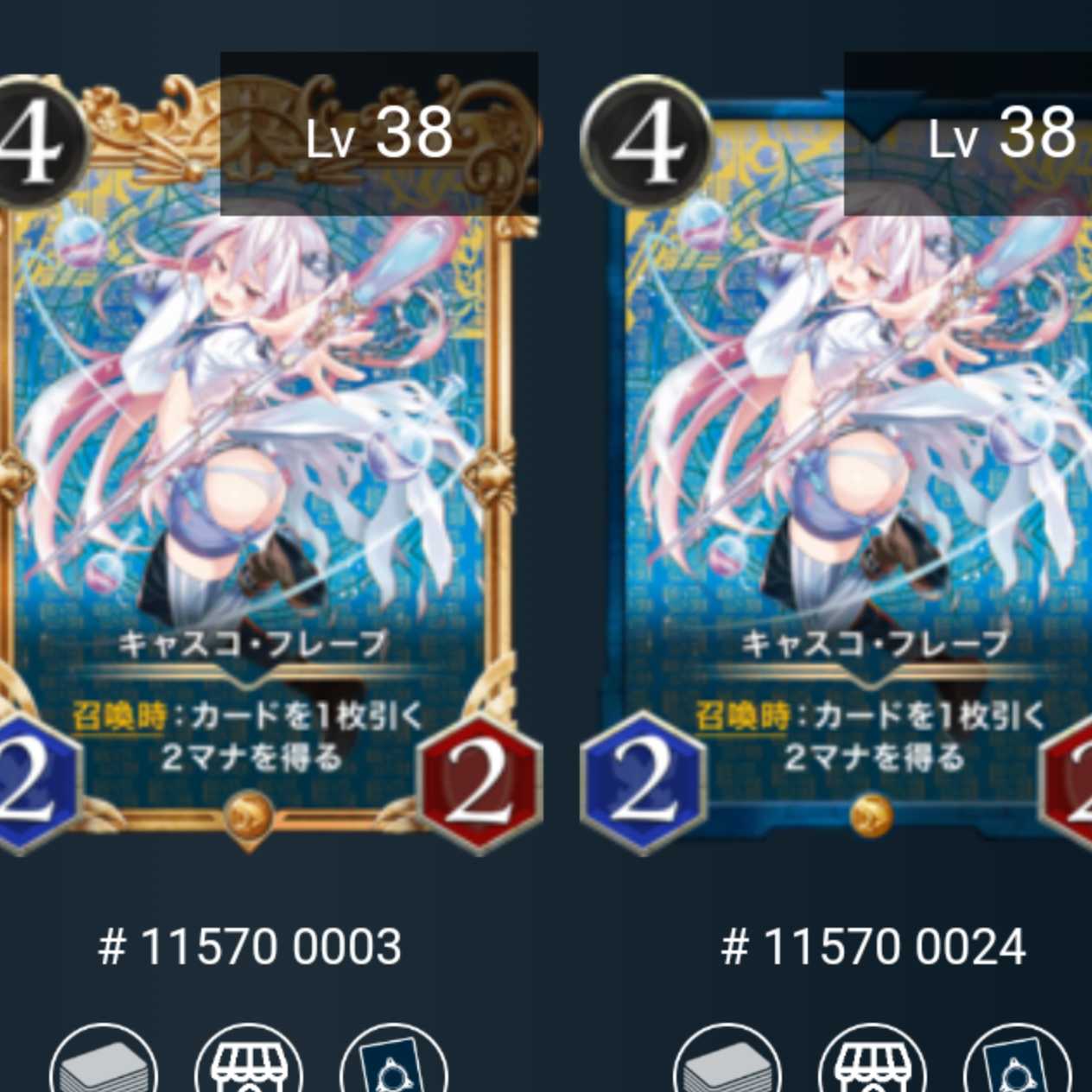 キャスコ・フレープ2枚