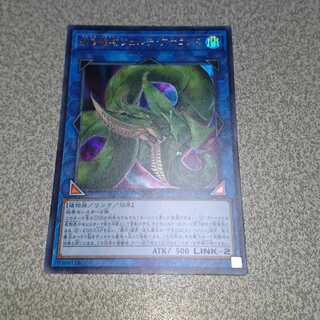 捕食植物ヴェルテ・アナコンダ ウルトラレア